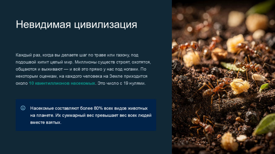 Мини-монстры и супергерои