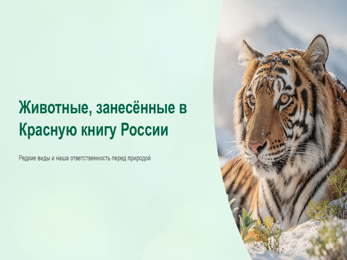  скачать бесплатно